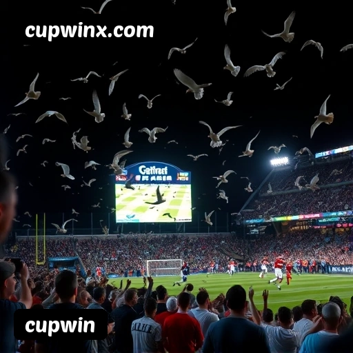 6 vantagens exclusivas do programa VIP da cupwin